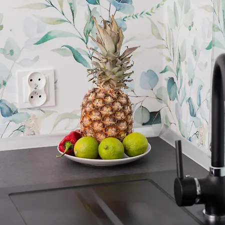 In Center With Two Desks, Balcony And Separate Kitchen By Renters דירה