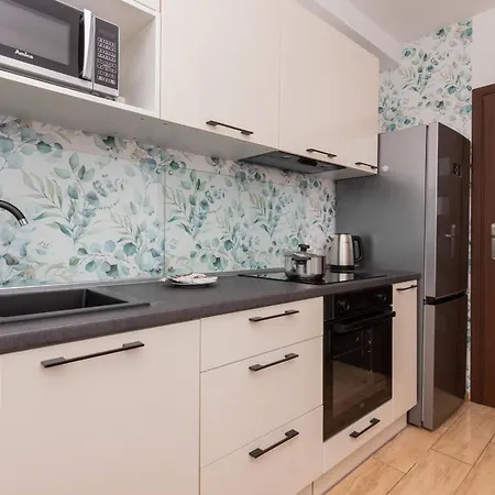 Apartman In Center With Two Desks, Balcony And Separate Kitchen By Renters *